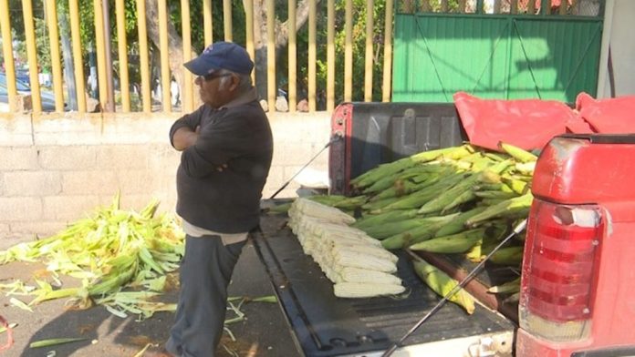 https://cbtelevision.com.mx/a-la-baja-precio-de-la-verdura-al-alza-baja-economia/