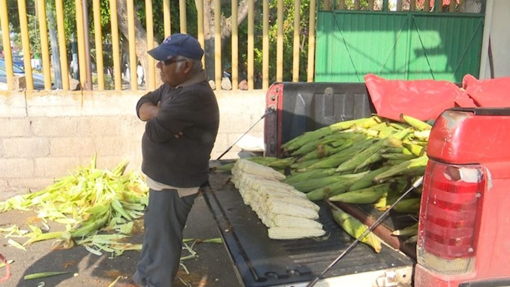 https://cbtelevision.com.mx/a-la-baja-precio-de-la-verdura-al-alza-baja-economia/ https://cbtelevision.com.mx/a-la-baja-precio-de-la-verdura-al-alza-baja-economia/