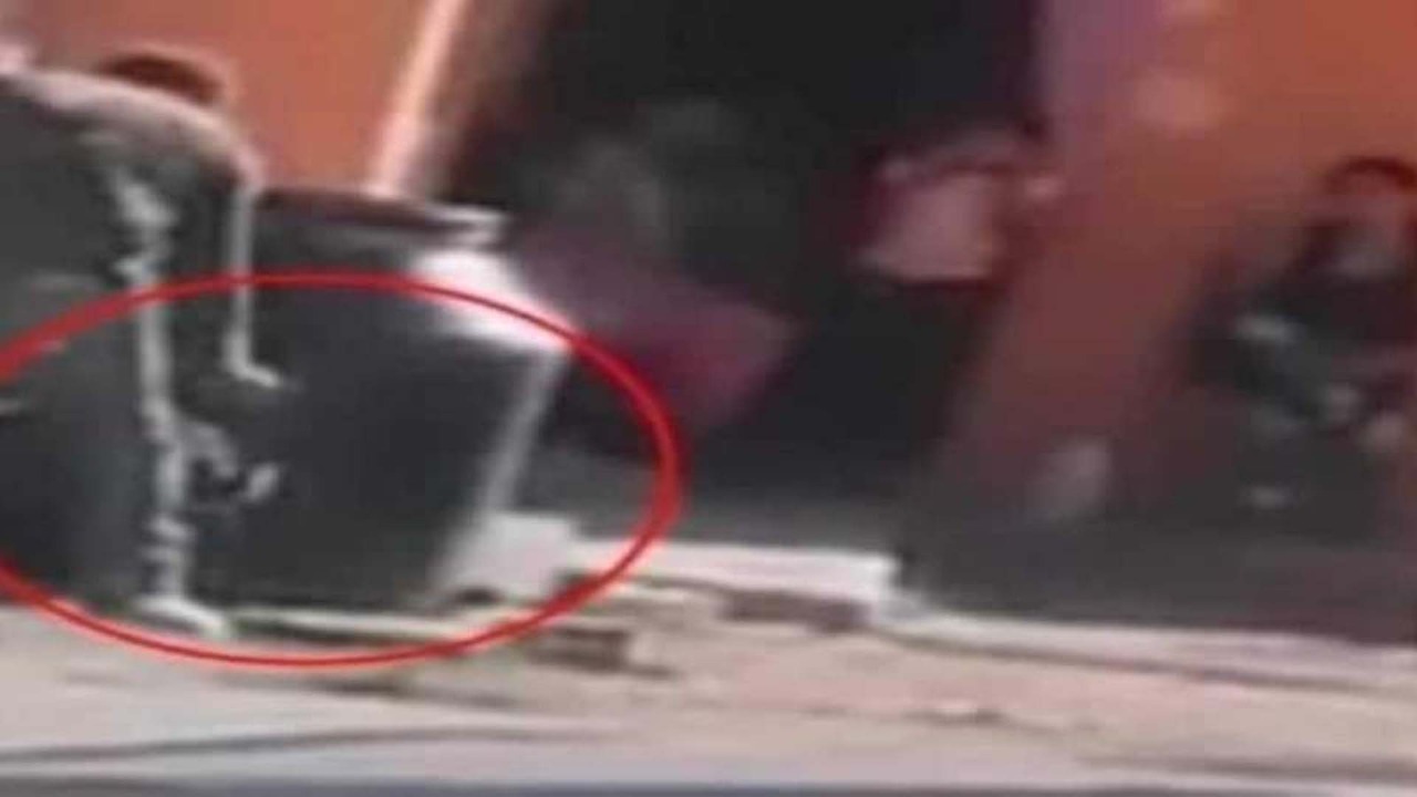 México: Hombre tortura y asesina a un perrito frente a niños México: Hombre tortura y asesina a un perrito frente a niños