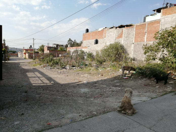 Calles en la colonia José María Pino Suárez foco de delincuencia.