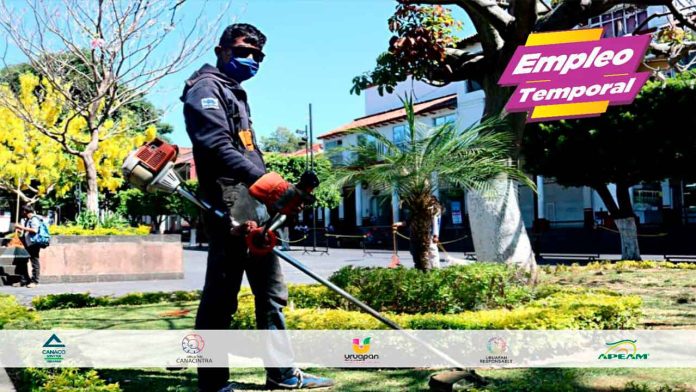 Avanza programa 