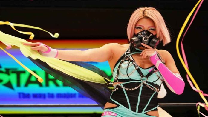 Luchadora japonesa se suicida tras acoso en redes sociales