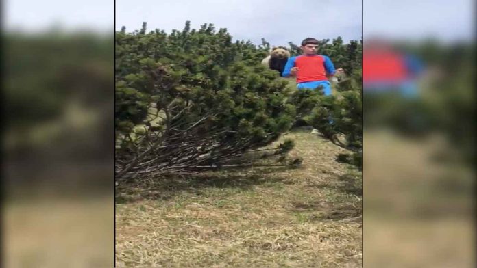 Niño es perseguido por un oso y demuestra como escapar