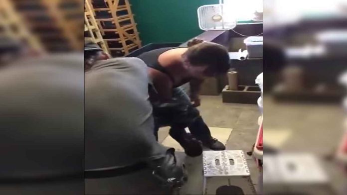 Video: Momento en que pitón de tres metros atraca a una mujer y la muerde