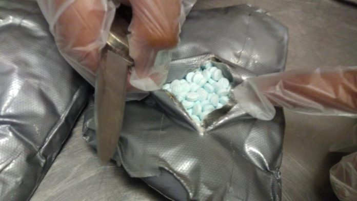 Aseguran más de 19,000 pastillas de posible Fentanilo en Tecate
