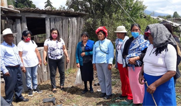 Incentivan el autoconsumo en localidades de zitácuaro con huertos de traspatio impulsados por María Chávez