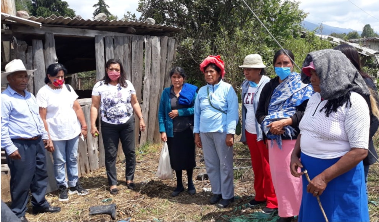 Incentivan el autoconsumo en localidades de zitácuaro con huertos de traspatio impulsados por María Chávez Incentivan el autoconsumo en localidades de zitácuaro con huertos de traspatio impulsados por María Chávez