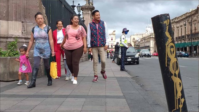 10 mil familias resineras en Michoacán en crisis por Covid-19