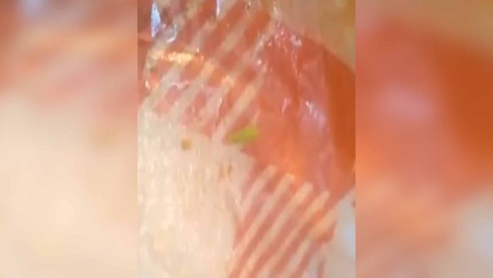 Video: Captan gusanos en un panini de Italiannis