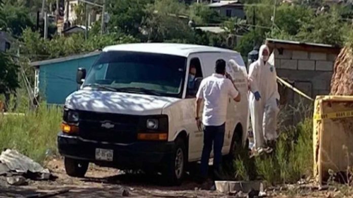México: Hallan muerto dentro de un costal de croquetas a niño de 4 años