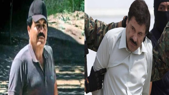 Ahora resulta que también el Chapo Guzmán y El Mayo Zambada eran infiltrados de la DEA