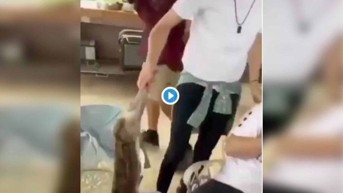Video: Se graban maltratando un conejo tras violar confinamiento