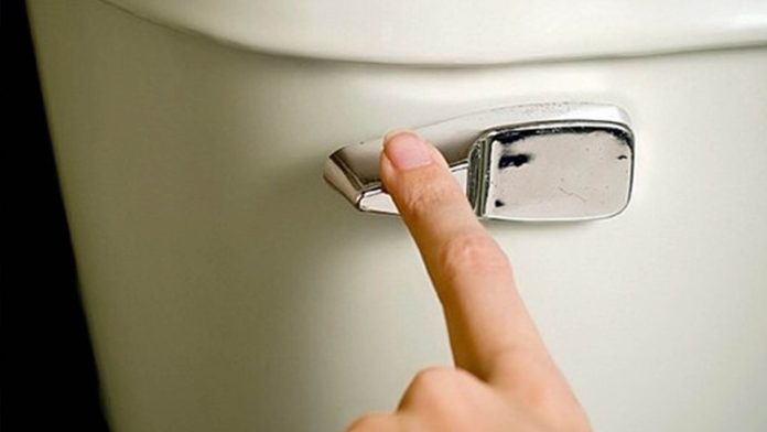 Bajar la palanca del baño podría propagar Covid, al no haber sana distancia