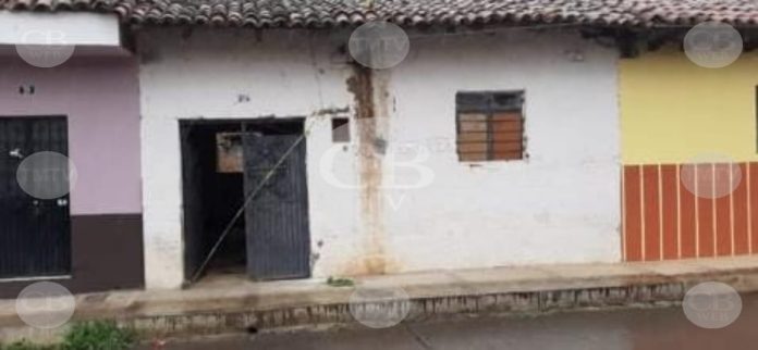 Torturan y cuelgan de un árbol a tres mujeres y un hombre en Purépero