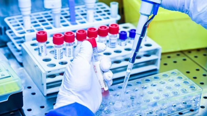 Por falsear información, inhabilitan a farmacéutica por más de 2 años y le asigna multas resarcitorias millonarias