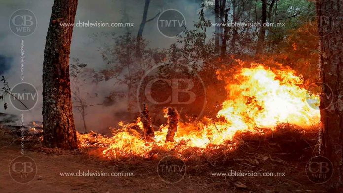 Incontrolable incendio en la Barranca del Cupatitzio
