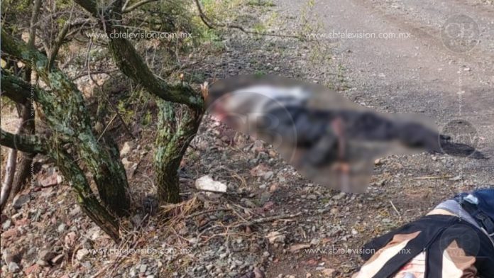 Ejecutan a dos hombres a balazos en Álvaro Obregón