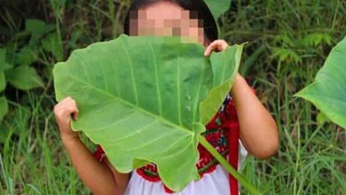 Investigan a siete militares por la violación de una niña indígena