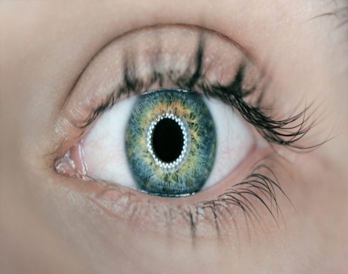 ¿Sabías que tus ojos, hacen más ejercicio que tus piernas?