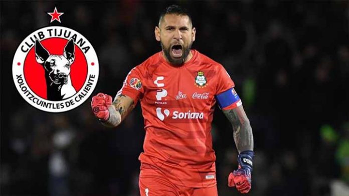 Los Xolos se ponen perros
