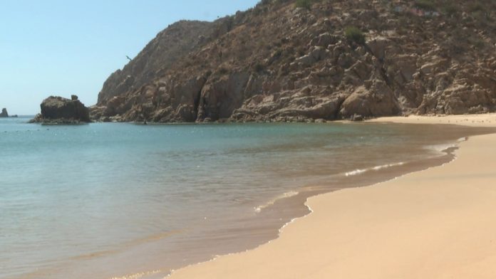 Por la Nueva Normalidad abren playa en Los Cabos, presencia de tiburones hace que la cierren