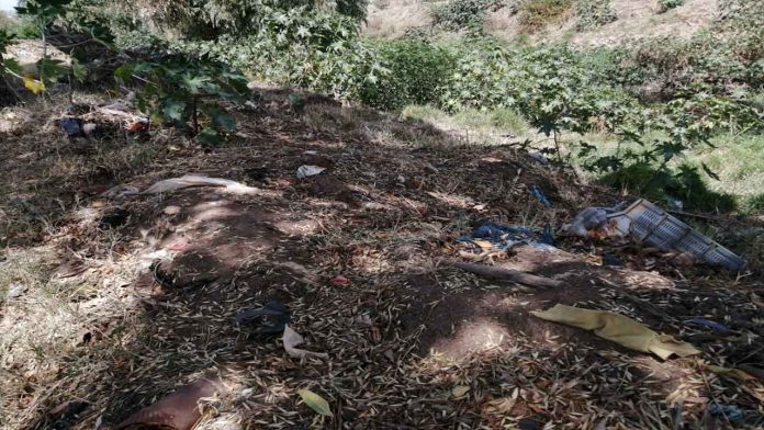 Denuncian montones de basura y animales en descomposición en el río Grande
