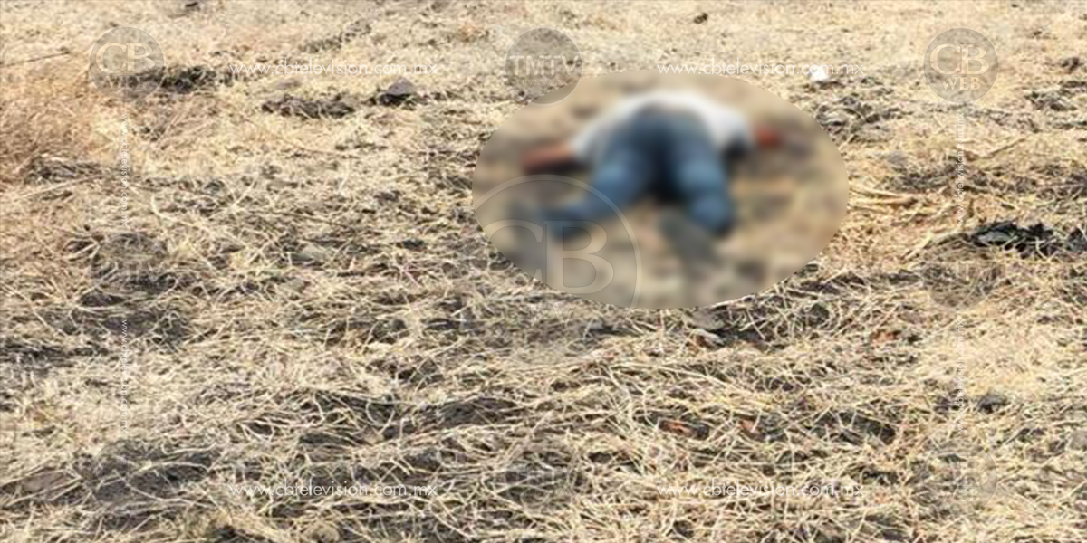 Hallan cuerpo putrefacto en Apatzingán Hallan cuerpo putrefacto en Apatzingán
