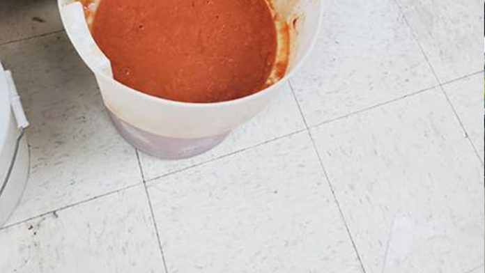 Publican video de ratas en la salsa para pizzas de Little Ceasers