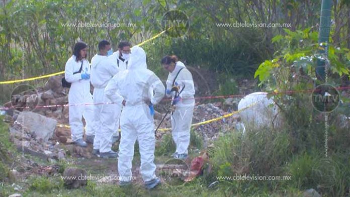 Asesinan a dos personas dentro de una huerta de aguacate en Tancítaro