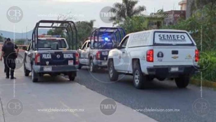 Hallan cuerpo calcinado en huerta de aguacate