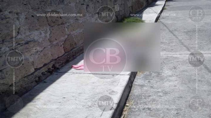 Fémina muere al ser atacada por abejas en el centro de Téjaro