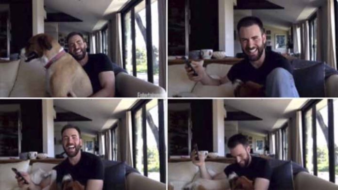 El perro de Chris Evans interrumpe reunión de beneficencia