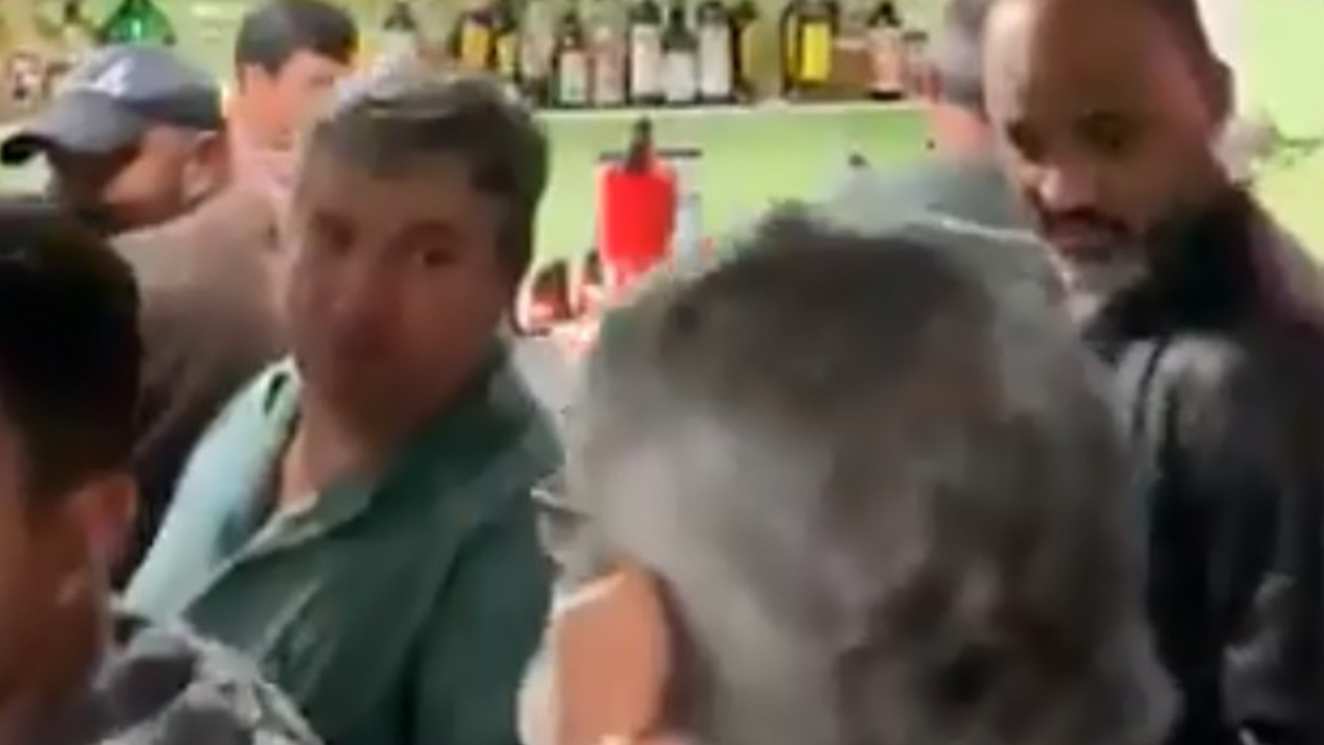 Se les acabó la fiesta: Bar operaba clandestinamente disfrazado de tienda de mascotas Se les acabó la fiesta: Bar operaba clandestinamente disfrazado de tienda de mascotas