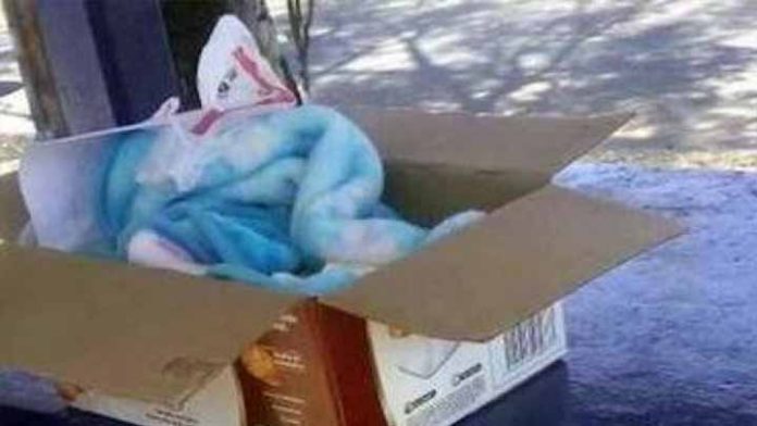 Localizan a la madre de gemelos abandonados, tiene solo 15 años
