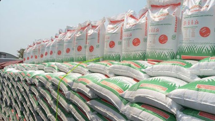 Reporta Agricultura casi 257 mil productores beneficiados con el programa de Fertilizantes en Guerrero