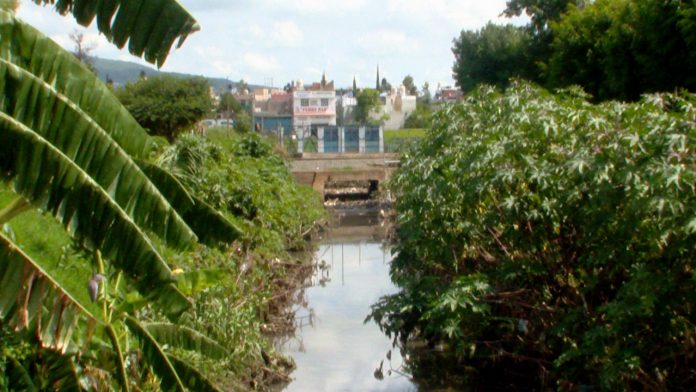 Basura acumulada en el Dren Barajas perjudica a colonias aledañas.