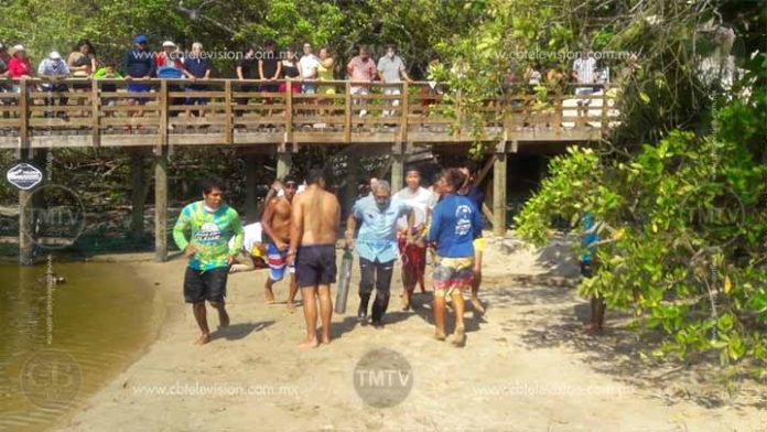 Cocodrilo ataca a un niño de 6 años en Ixtapa