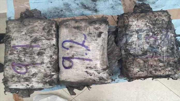 Marina aseguró 162 kg de cocaína en el Puerto de Lázaro Cárdenas