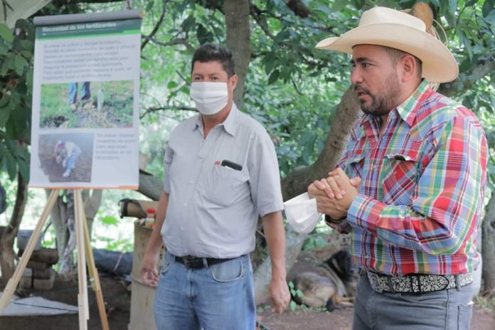 Realizan acciones para mejorar la calidad de la tierra en Huandacareo