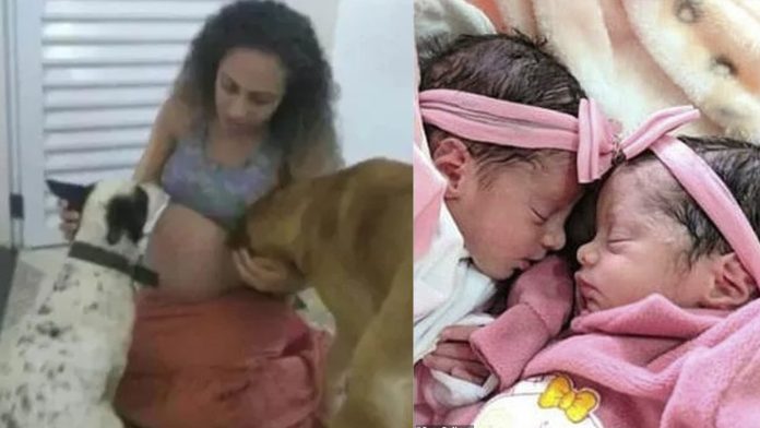 Mujer deja a su perro cuidando a sus gemelas y 