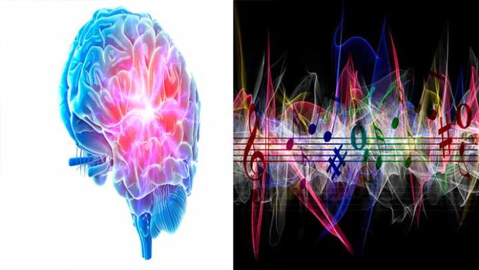 Trabajan en Chip cerebral para transmitir música directamente al cerebro