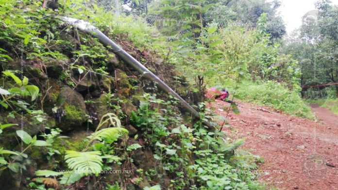 Matan a un joven a balazos en Huerta de aguacate de Periban