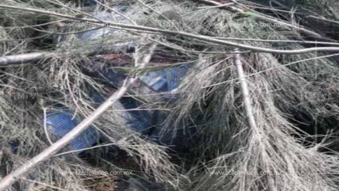 Lo matan sobre la antigua carretera a Pátzcuaro