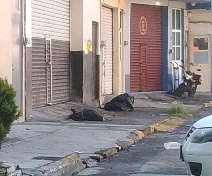Les avientan un descuartizado en un mercado de Zamora