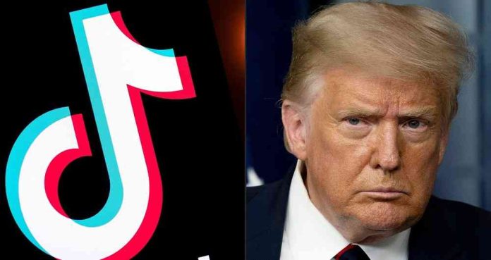 Tik Tok quiere ir a los tribunales por decreto de Trump