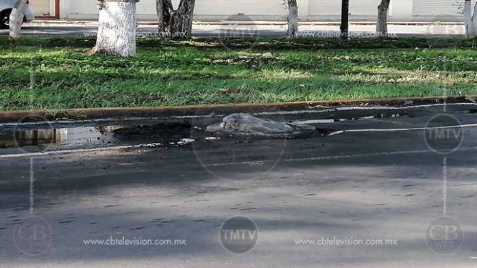 Fuertes lluvias del viernes levantan alcantarilla en Boulevard García de León