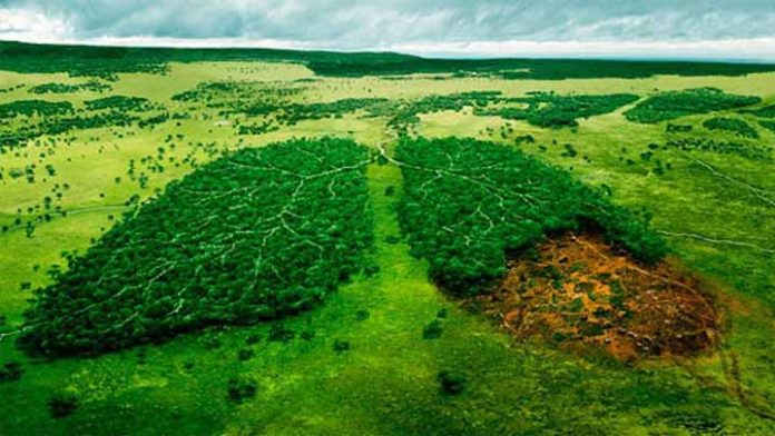 Mañana se agotarán los recursos naturales destinados para todo el 2020