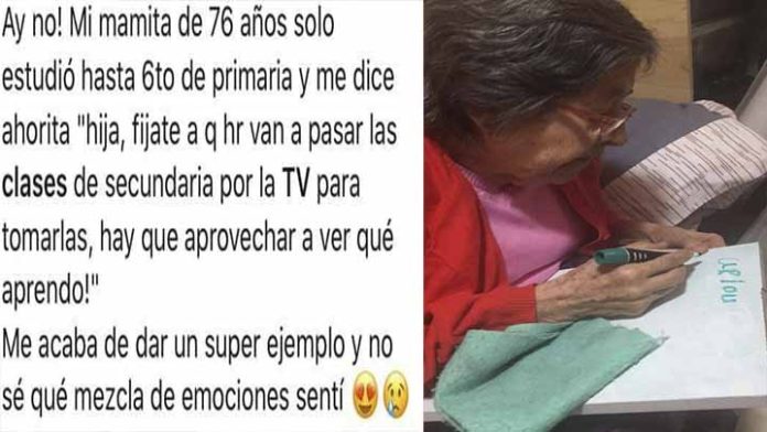Abuelita enternece las redes al tomar clases por televisión