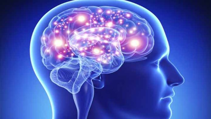 Estudio revela el cerebro humano es capaz de predecir el futuro inmediato
