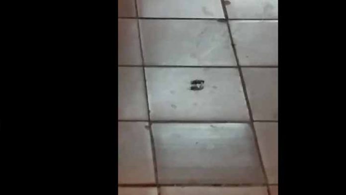 Difunden video de cucarachas en Burger king de Morelia